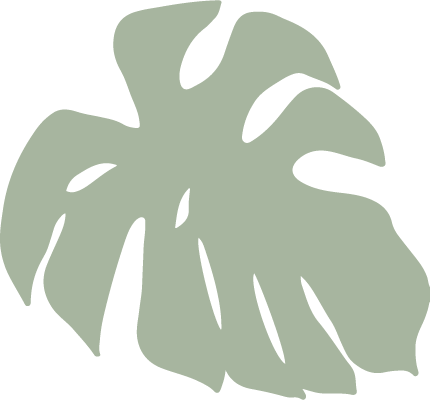 Ilustración en verde de hoja de monstera con fondo transparente