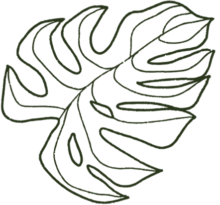 Ilustración en verde de hoja de monstera con fondo transparente