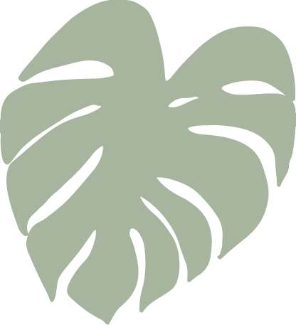 Ilustración en verde de hoja de monstera con fondo transparente